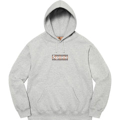 22SS Burberry Box Logo Hoodie